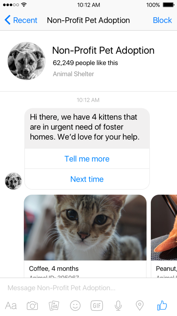 Facebook Messenger Non-pro fit Bot Screenshot 1